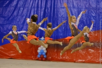 © ВФЭГ (RFAG)