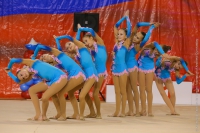 © ВФЭГ (RFAG)