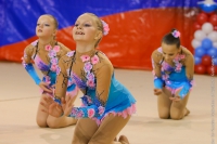 © ВФЭГ (RFAG)