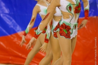 © ВФЭГ (RFAG)