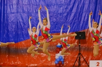 © ВФЭГ (RFAG)
