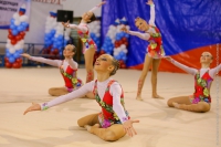 © ВФЭГ (RFAG)