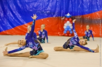 © ВФЭГ (RFAG)