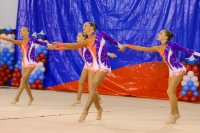 © ВФЭГ (RFAG)