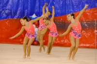 © ВФЭГ (RFAG)