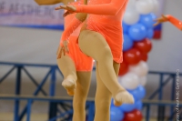 © ВФЭГ (RFAG)