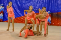 © ВФЭГ (RFAG)