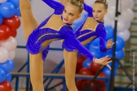 © ВФЭГ (RFAG)