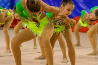 © ВФЭГ (RFAG)