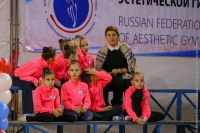 © ВФЭГ (RFAG)