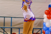 © ВФЭГ (RFAG)
