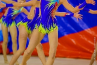 © ВФЭГ (RFAG)