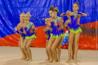 © ВФЭГ (RFAG)