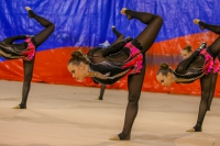© ВФЭГ (RFAG)