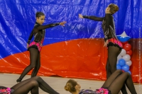 © ВФЭГ (RFAG)