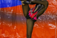 © ВФЭГ (RFAG)