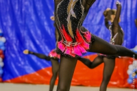 © ВФЭГ (RFAG)