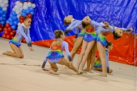 © ВФЭГ (RFAG)