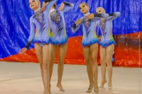 © ВФЭГ (RFAG)