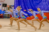© ВФЭГ (RFAG)