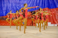 © ВФЭГ (RFAG)