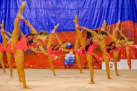 © ВФЭГ (RFAG)