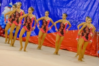 © ВФЭГ (RFAG)