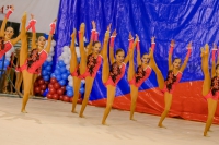 © ВФЭГ (RFAG)