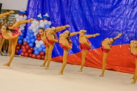 © ВФЭГ (RFAG)