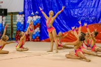 © ВФЭГ (RFAG)