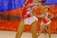 © ВФЭГ (RFAG)
