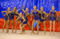 © ВФЭГ (RFAG)