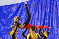 © ВФЭГ (RFAG)