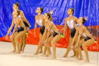 © ВФЭГ (RFAG)