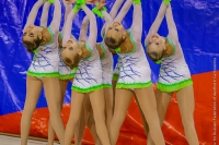 © ВФЭГ (RFAG)