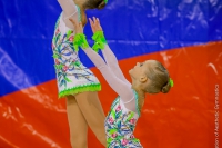 © ВФЭГ (RFAG)