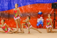 "Овация", МО, Электросталь<br>© ВФЭГ (RFAG)