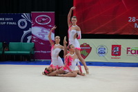 © ВФЭГ (RFAG)