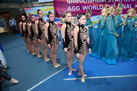 © ВФЭГ (RFAG)