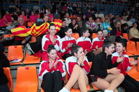 © ВФЭГ (RFAG)