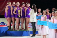 © ВФЭГ (RFAG)