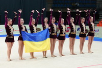© ВФЭГ (RFAG)