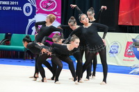 © ВФЭГ (RFAG)