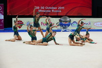 © ВФЭГ (RFAG)