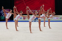 © ВФЭГ (RFAG)