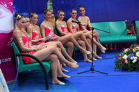 © ВФЭГ (RFAG)