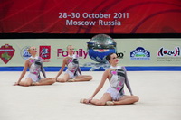 © ВФЭГ (RFAG)