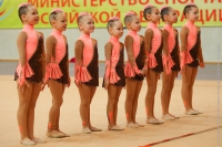 © ВФЭГ (RFAG)