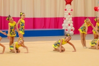 © ВФЭГ (RFAG)
