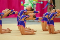 © ВФЭГ (RFAG)